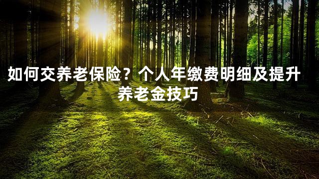 如何交养老保险？个人年缴费明细及提升养老金技巧