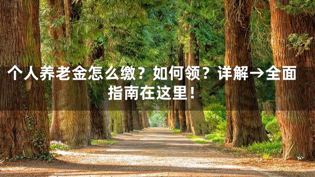 个人养老金怎么缴？如何领？详解→全面指南在这里！