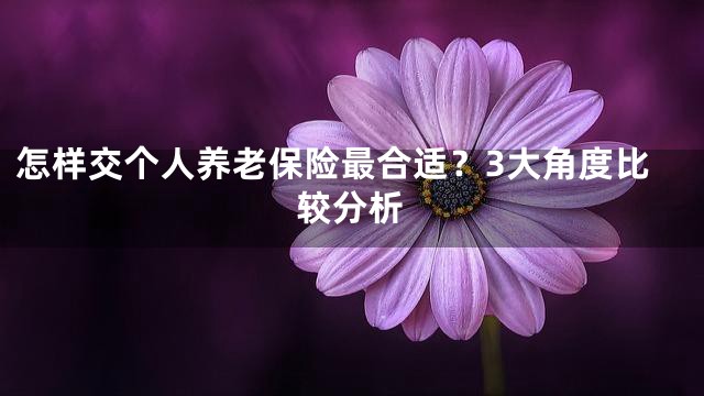 怎样交个人养老保险最合适？3大角度比较分析