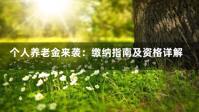 个人养老金来袭：缴纳指南及资格详解