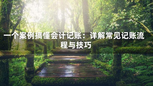 一个案例搞懂会计记账：详解常见记账流程与技巧