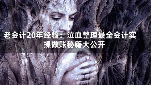老会计20年经验：泣血整理最全会计实操做账秘籍大公开