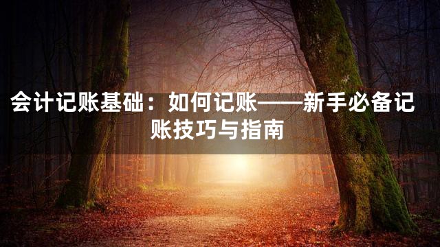 会计记账基础：如何记账——新手必备记账技巧与指南
