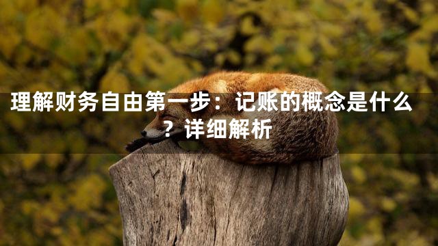 理解财务自由第一步：记账的概念是什么？详细解析
