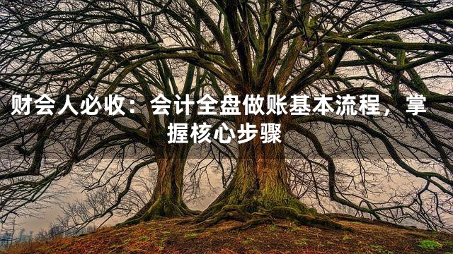 财会人必收：会计全盘做账基本流程，掌握核心步骤