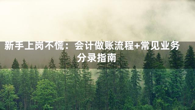新手上岗不慌：会计做账流程+常见业务分录指南