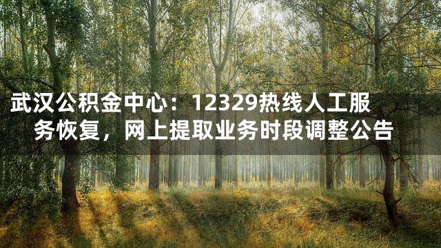 武汉公积金中心：12329热线人工服务恢复，网上提取业务时段调整公告