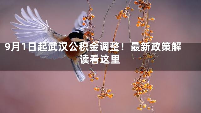 9月1日起武汉公积金调整！最新政策解读看这里