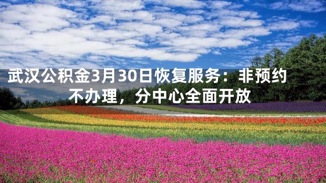 武汉公积金3月30日恢复服务：非预约不办理，分中心全面开放