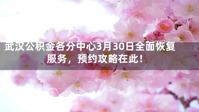 武汉公积金各分中心3月30日全面恢复服务，预约攻略在此！