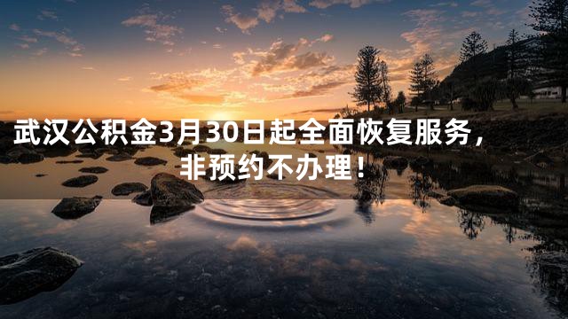 武汉公积金3月30日起全面恢复服务，非预约不办理！