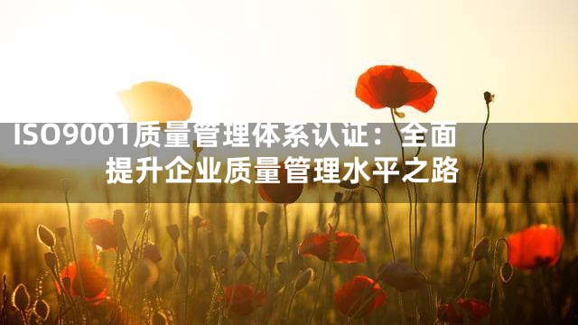 ISO9001质量管理体系认证：全面提升企业质量管理水平之路