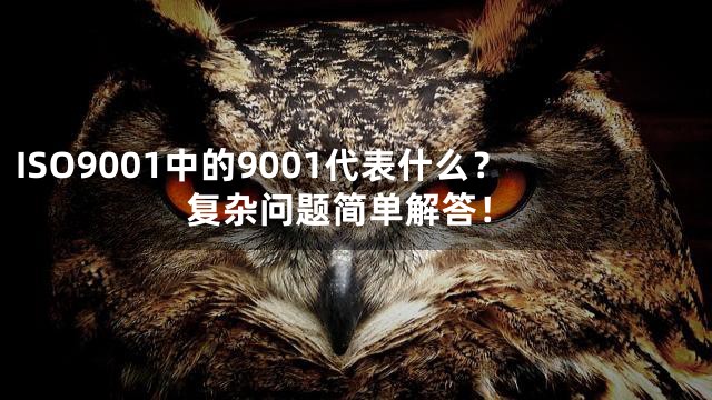 ISO9001中的9001代表什么？复杂问题简单解答！
