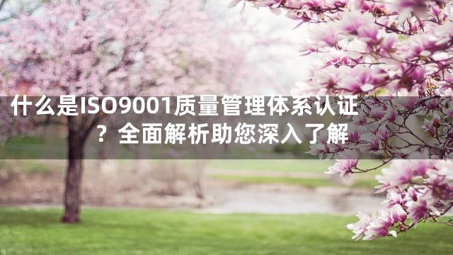 什么是ISO9001质量管理体系认证？全面解析助您深入了解
