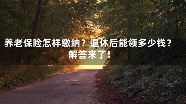 养老保险怎样缴纳？退休后能领多少钱？解答来了！