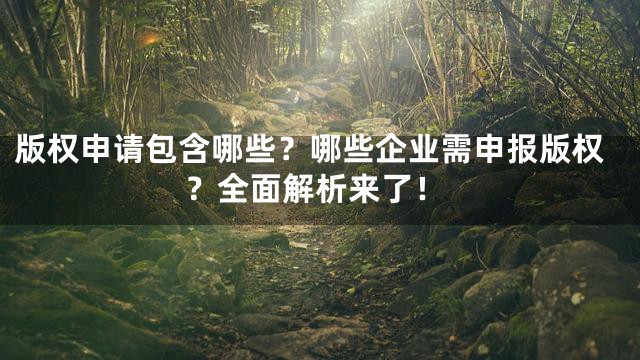 版权申请包含哪些？哪些企业需申报版权？全面解析来了！