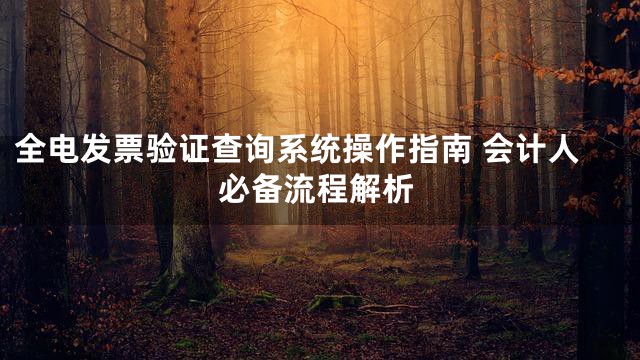 全电发票验证查询系统操作指南 会计人必备流程解析