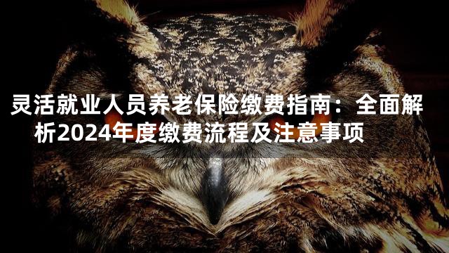 灵活就业人员养老保险缴费指南：全面解析2024年度缴费流程及注意事项