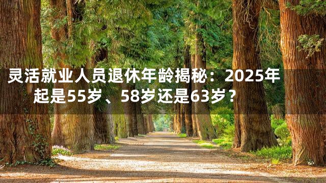 灵活就业人员退休年龄揭秘：2025年起是55岁、58岁还是63岁？