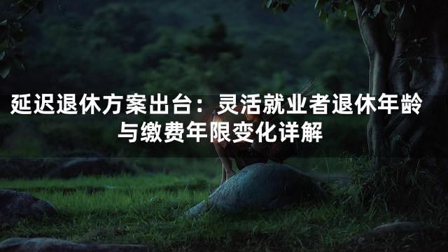 延迟退休方案出台：灵活就业者退休年龄与缴费年限变化详解