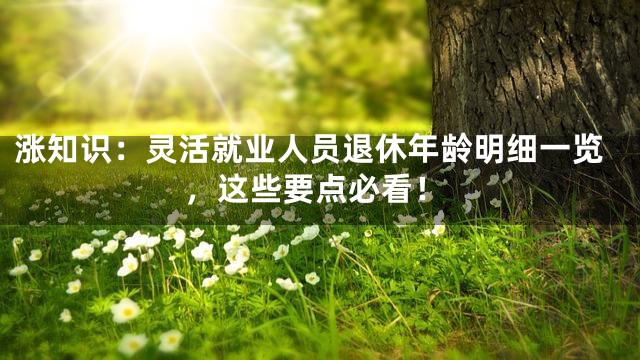 涨知识：灵活就业人员退休年龄明细一览，这些要点必看！