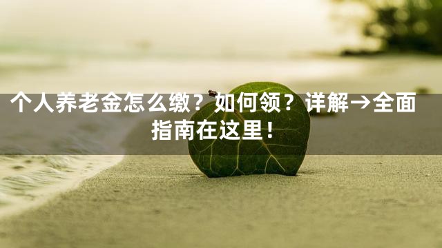 个人养老金怎么缴？如何领？详解→全面指南在这里！