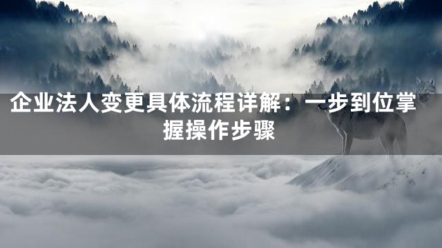 企业法人变更具体流程详解：一步到位掌握操作步骤