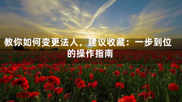 教你如何变更法人，建议收藏：一步到位的操作指南
