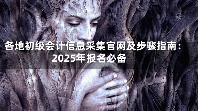 各地初级会计信息采集官网及步骤指南：2025年报名必备