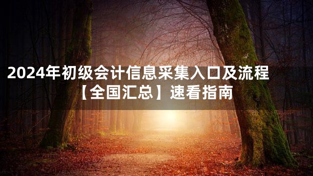 2024年初级会计信息采集入口及流程【全国汇总】速看指南