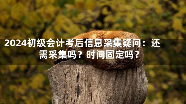2024初级会计考后信息采集疑问：还需采集吗？时间固定吗？