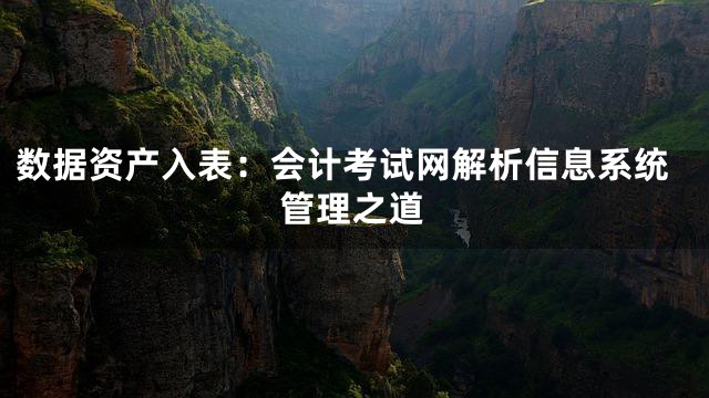 数据资产入表：会计考试网解析信息系统管理之道