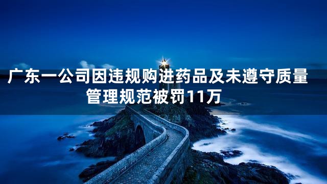 广东一公司因违规购进药品及未遵守质量管理规范被罚11万