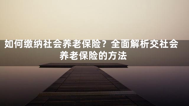 如何缴纳社会养老保险？全面解析交社会养老保险的方法