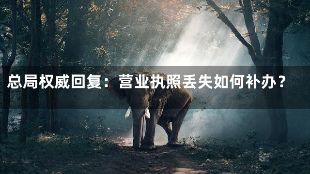 总局权威回复：营业执照丢失如何补办？