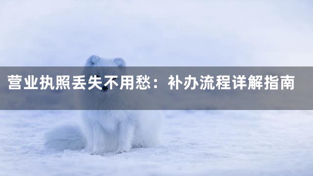 营业执照丢失不用愁：补办流程详解指南