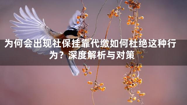 为何会出现社保挂靠代缴如何杜绝这种行为？深度解析与对策
