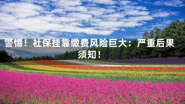 警惕！社保挂靠缴费风险巨大：严重后果须知！