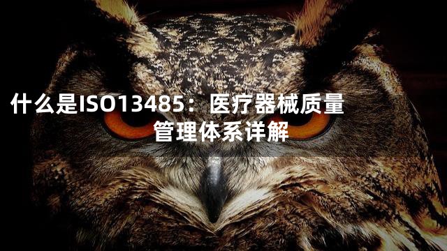 什么是ISO13485：医疗器械质量管理体系详解
