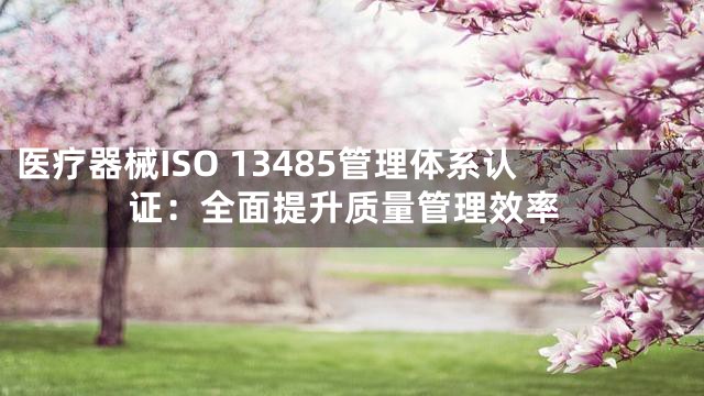 医疗器械ISO 13485管理体系认证：全面提升质量管理效率