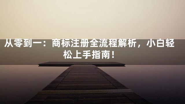 从零到一：商标注册全流程解析，小白轻松上手指南！