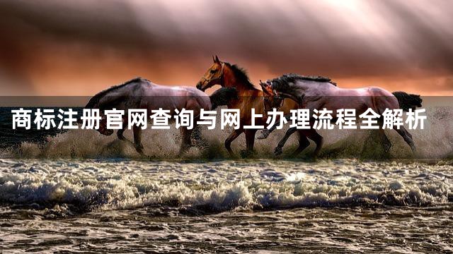 商标注册官网查询与网上办理流程全解析