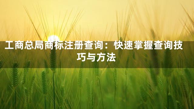 工商总局商标注册查询：快速掌握查询技巧与方法