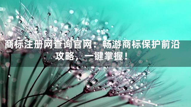 商标注册网查询官网：畅游商标保护前沿攻略，一键掌握！