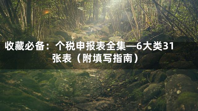 收藏必备：个税申报表全集—6大类31张表（附填写指南）