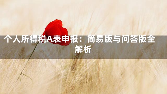 个人所得税A表申报：简易版与问答版全解析