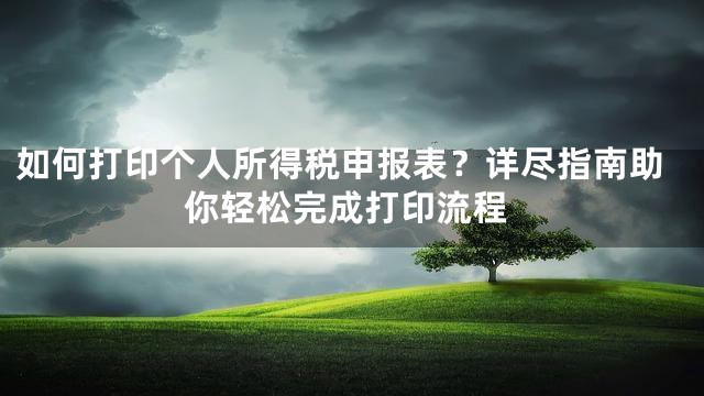 如何打印个人所得税申报表？详尽指南助你轻松完成打印流程