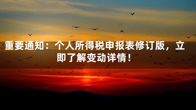 重要通知：个人所得税申报表修订版，立即了解变动详情！