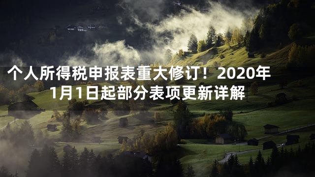 个人所得税申报表重大修订！2020年1月1日起部分表项更新详解