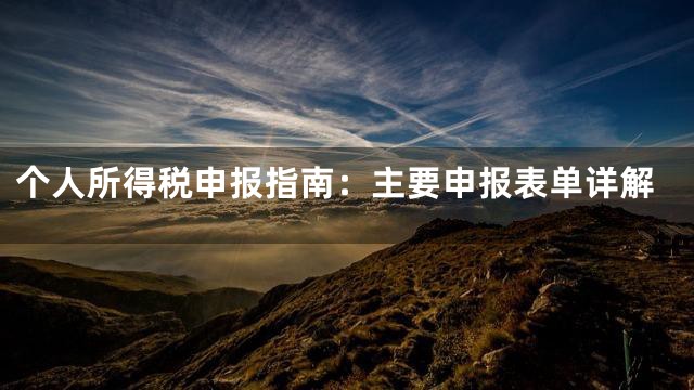 个人所得税申报指南：主要申报表单详解